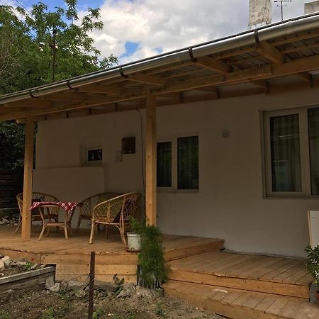 シナヤ Casa Opreaヴィラ エクステリア 写真