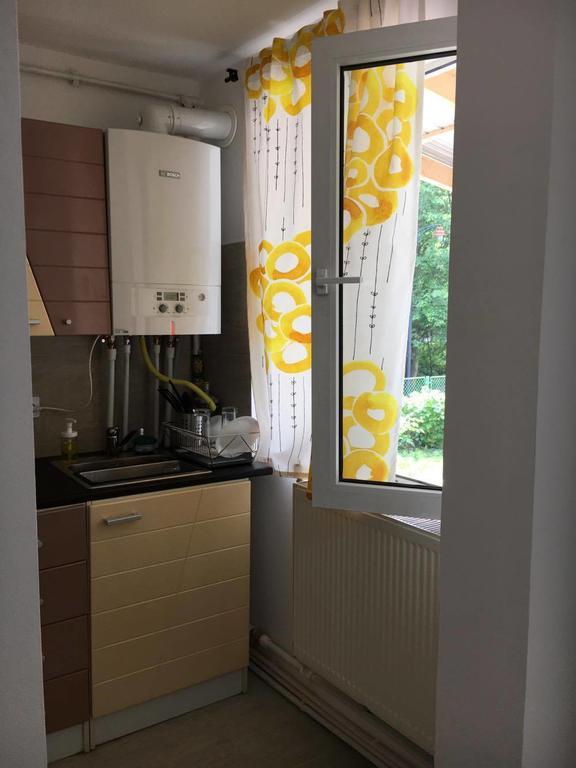 シナヤ Casa Opreaヴィラ エクステリア 写真
