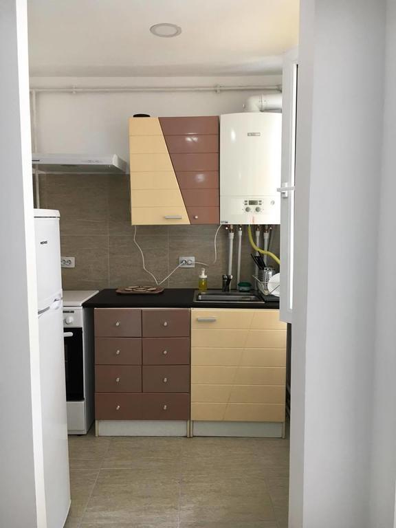 シナヤ Casa Opreaヴィラ エクステリア 写真